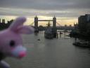 Rose in London 3