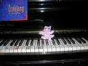 Weber on a piano.