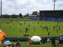 Cricket